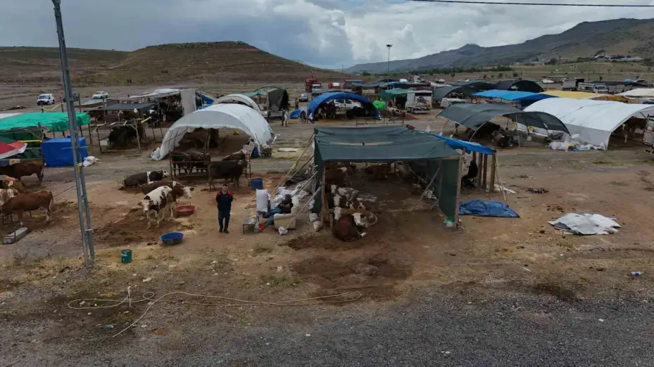 Kayseri’de kurban pazarlıklar hareketlendi