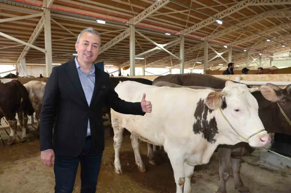 Sivas Belediyesi’nden modern kurban pazarı hizmeti