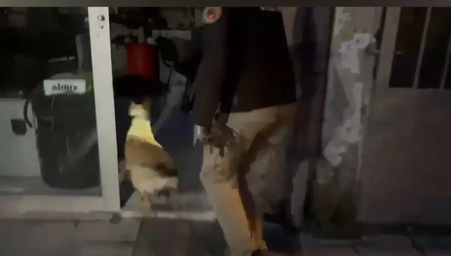 Narkotik köpeği ETA, zehir tacirlerine göz açtırmıyor
