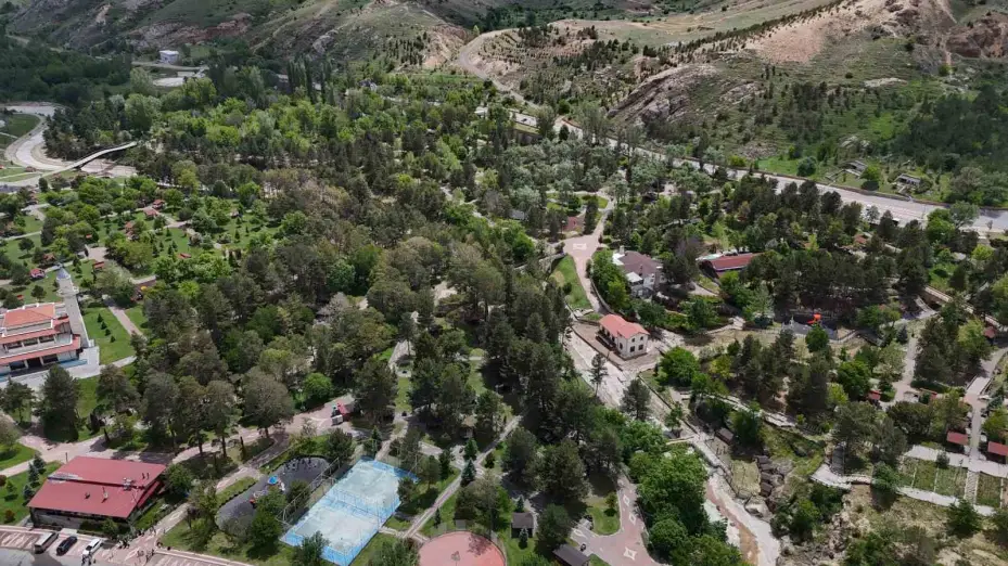 Sivas’ta mesire alanları, kene kabusu nedeniyle boş kaldı