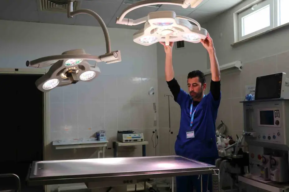 Üniversite desteğiyle en az 200 sokak köpeği kısırlaştırıldı