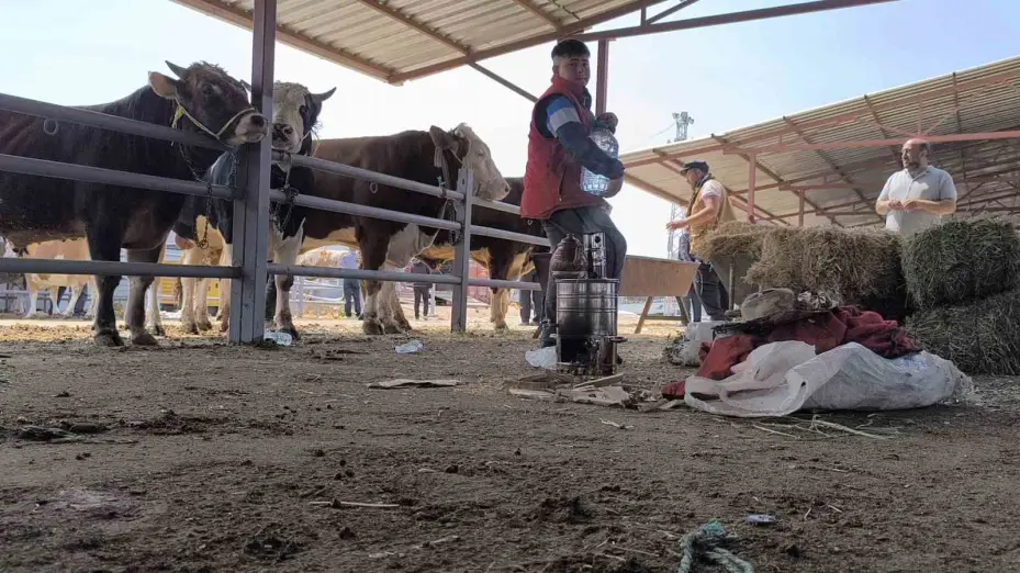 Kırşehir hayvan pazarında 1 tonluk inek 240 bin TL’ye satıldı
