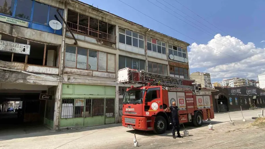 Yaklaşık 2 haftadır depoda mahsur kalan 6 köpek kurtarıldı