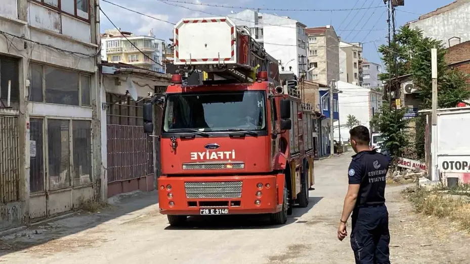 Yaklaşık 2 haftadır depoda mahsur kalan 6 köpek kurtarıldı