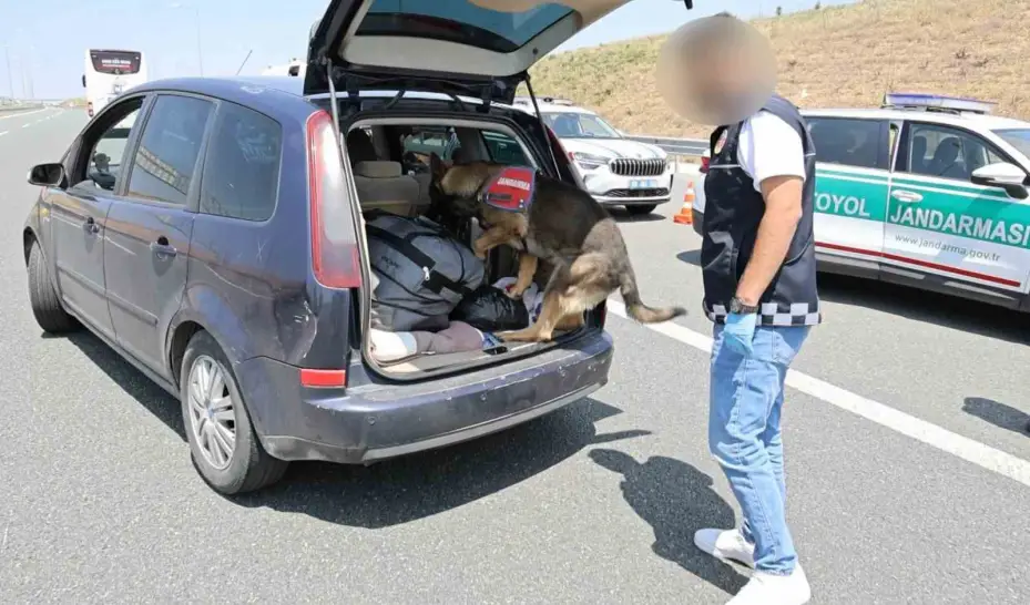 Koklayıp bulduğu uyuşturucuyu patisiyle böyle çıkarttı