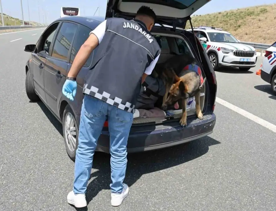 Koklayıp bulduğu uyuşturucuyu patisiyle böyle çıkarttı
