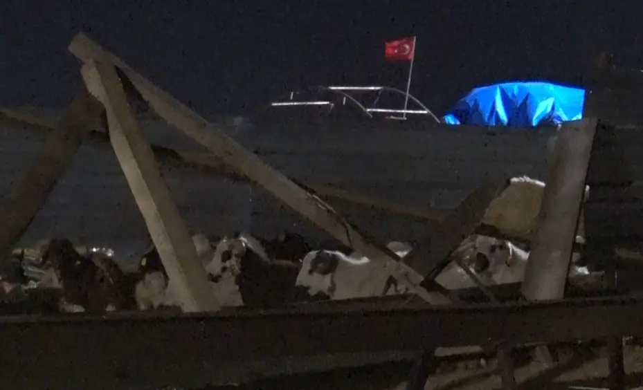 Ankara’da kurban pazarları toplanmaya başladı
