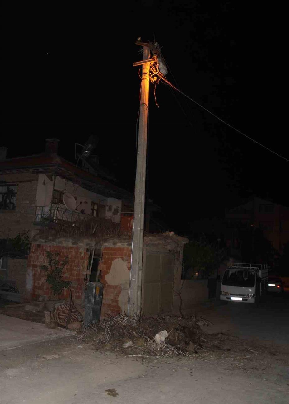 Yıkılan yuvadan düşen yavru leylekler telef oldu