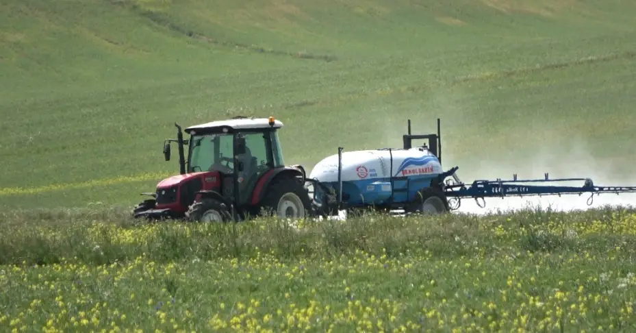 Çiftçiler, zararlı bitkiye karşı önlem almaya başladı