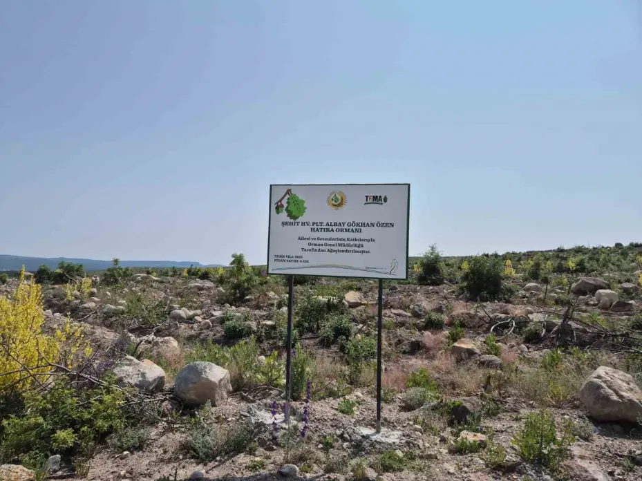 Eskişehirli şehidin hatırası Kümbet’teki ormanda yaşayacak