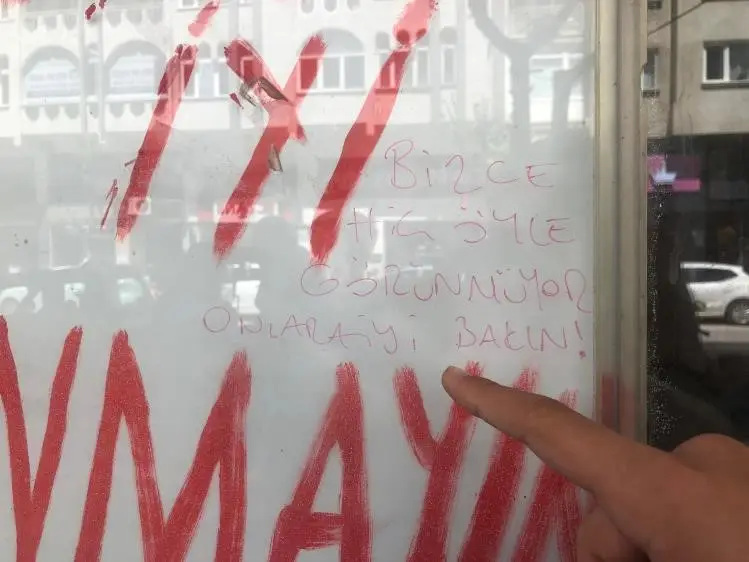 Boş dükkanda bulunan kediler ilginç bir tartışmaya yol açtı
