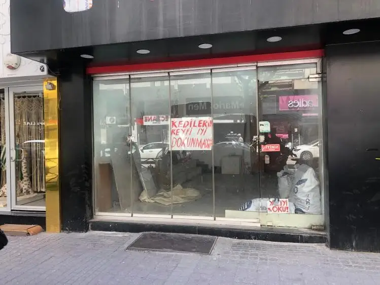 Boş dükkanda bulunan kediler ilginç bir tartışmaya yol açtı