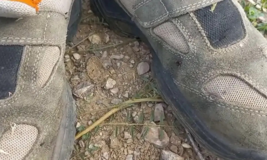 Yozgat’ta keneler görülmeye devam ediyor
