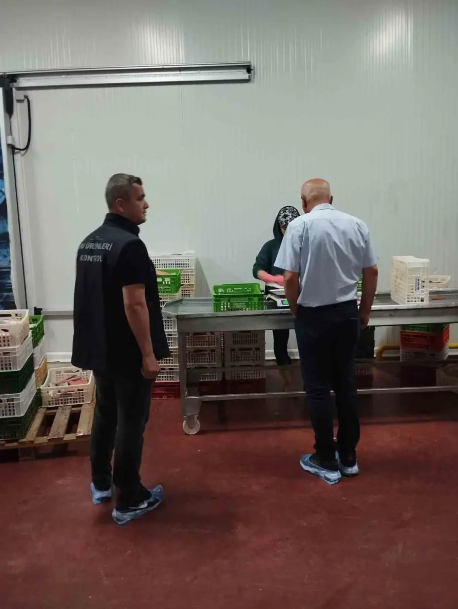 Beyşehir Gölünde denetimler av yasağının son günlerinde de sürdü