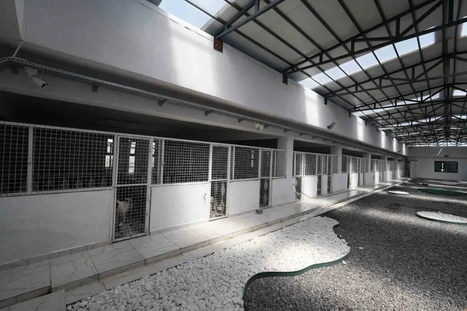 Kayseri’de 500 hayvan kapasiteli yeni bir barınak inşa ediliyor