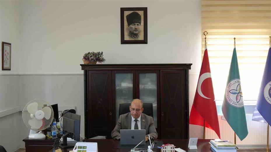 "Zeytinlikler zarar görmeden taşınabilir"