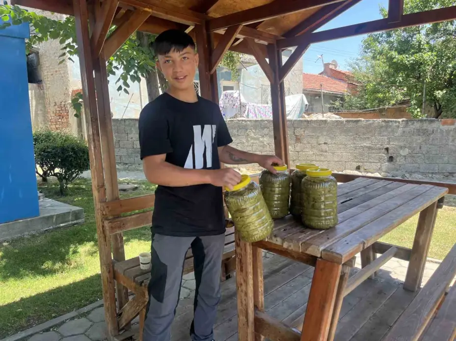 Sokak sokak dolaşıp bebek arabasına yüklediği salamura yaprakları satıyor