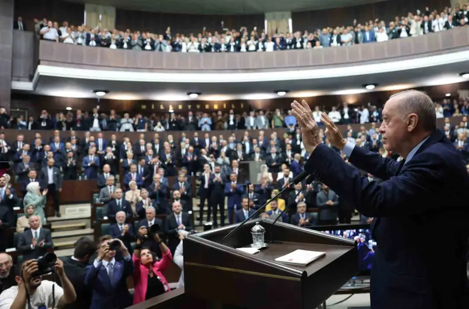 Cumhurbaşkanı Erdoğan: "Türkiye, tüm enerjisini ve kapasitesini bekasına yönelik meselelere ayırması gereken çok hassas bir dönemden geçiyor"