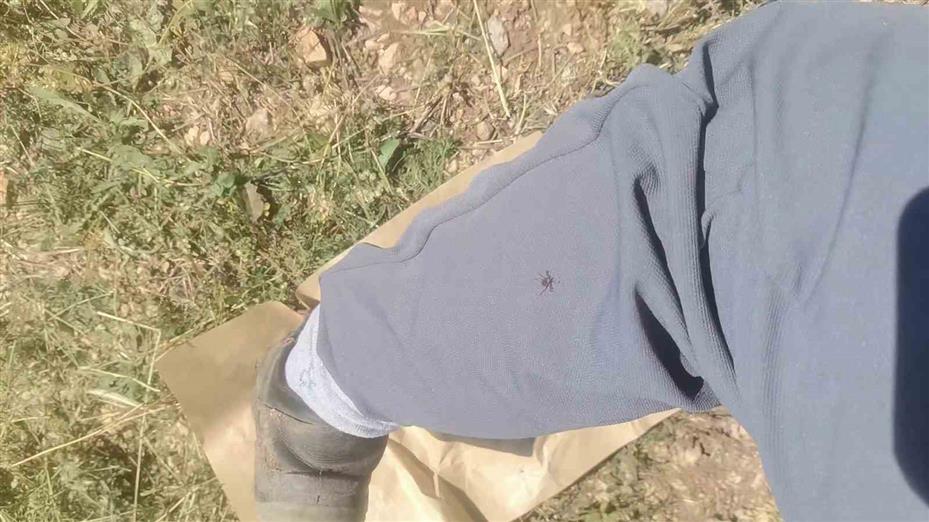 "Keneler, köpekler gibi koku alıp üzerimize geliyor" dedi, o anları kayıt altına aldı