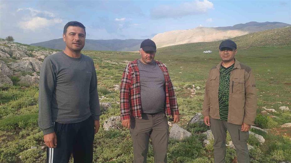 Bozkır’ın yüksek rakımlı yaylalarındaki bitki florası araştırıldı