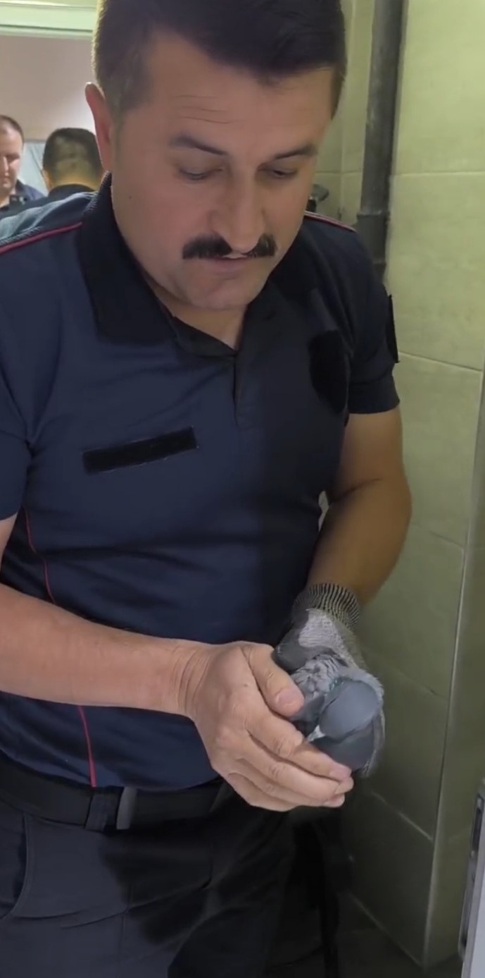 Kuaförün havalandırma boşluğuna sıkışan güvercini itfaiye ekipleri kurtardı