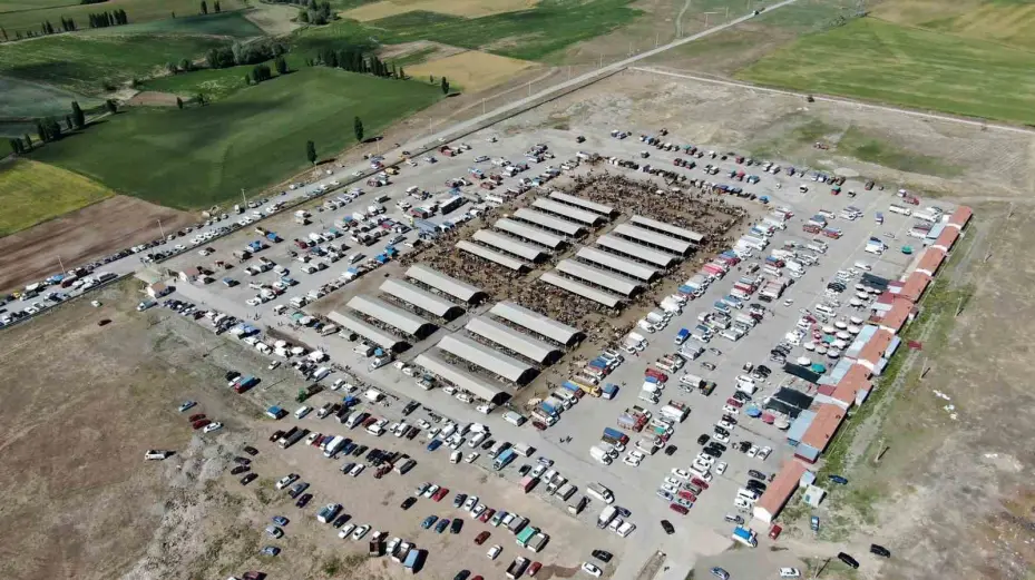 Şap hastalığı arttı, Sivas’ta hayvan pazarları kapatıldı