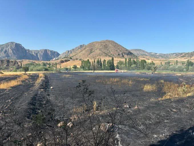 Yozgat’ta 20 dönüm ekili alan kül oldu