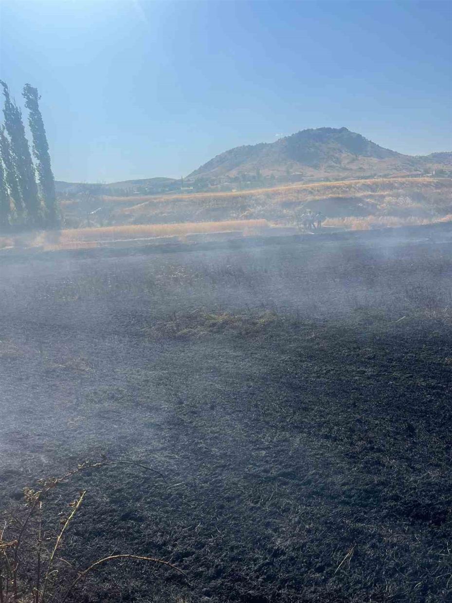 Yozgat’ta 20 dönüm ekili alan kül oldu