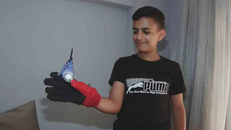 Savaşın içinden şifaya: Gazze’li Ameer’in Türkiye yolculuğu