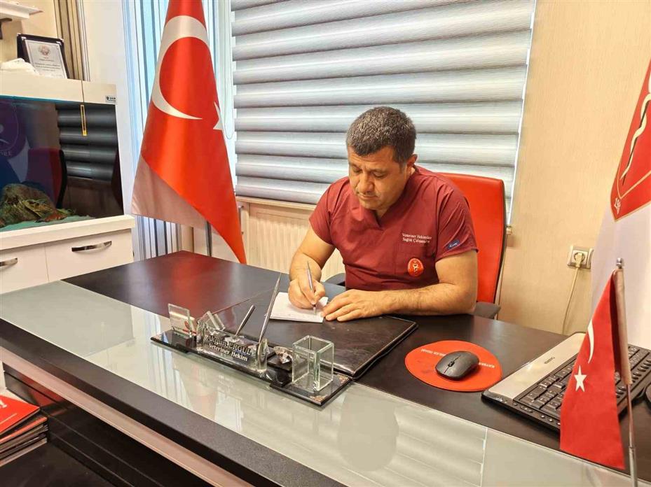 Sineklerle mücadele yönteminizi değiştirin