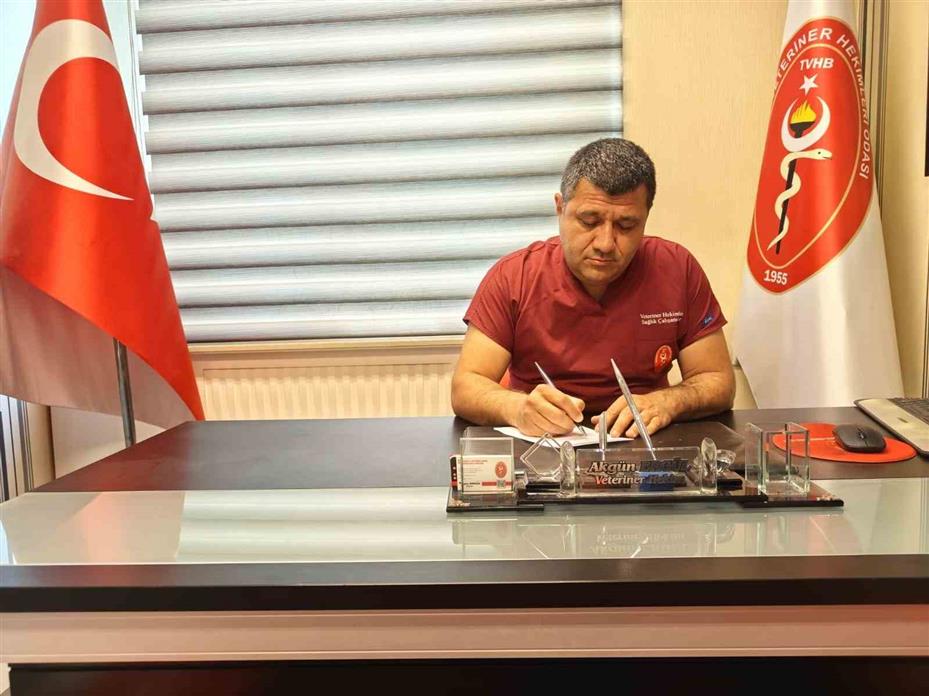 Sineklerle mücadele yönteminizi değiştirin