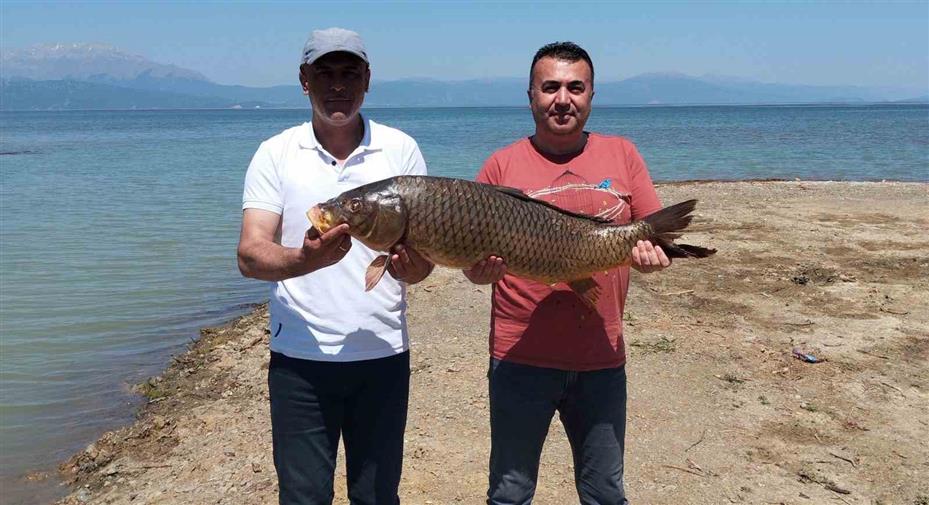 Beyşehir Gölünde ağlara vuran 17 kiloluk sazan balığı şaşırttı
