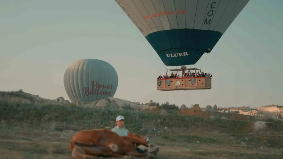 Güzel atlar Kapadokya’da görücüye çıkacak