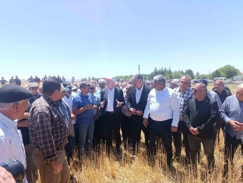 TZOB Başkanı, dolu sonrası zarar gören tarlaları inceledi