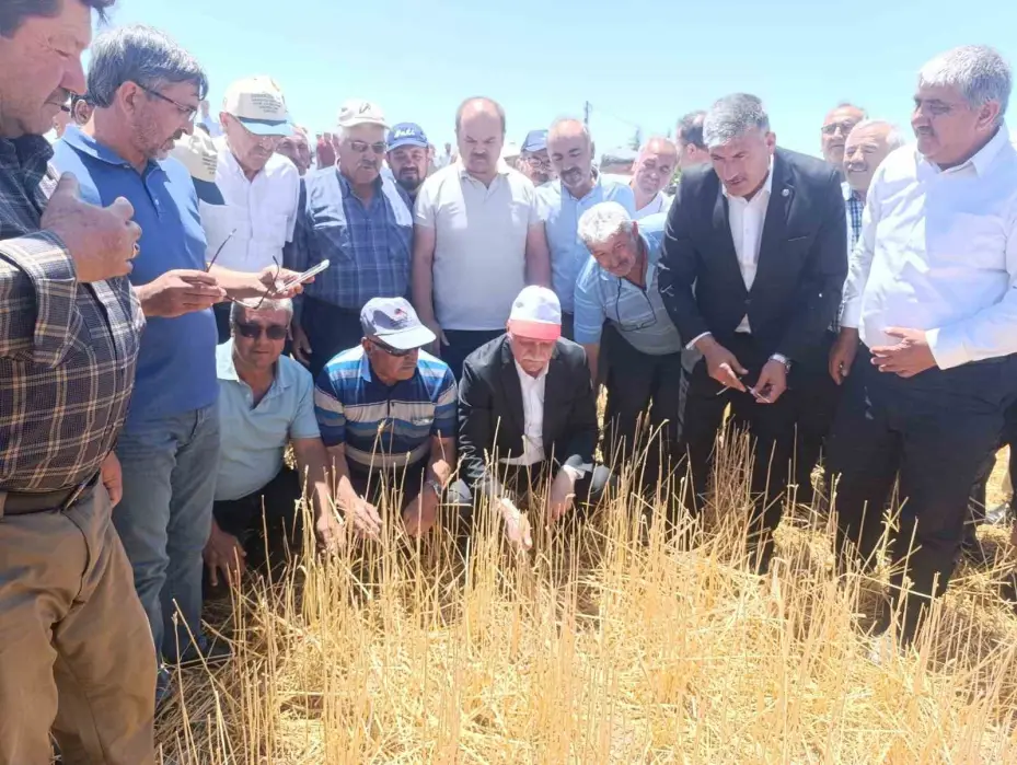 TZOB Başkanı, dolu sonrası zarar gören tarlaları inceledi