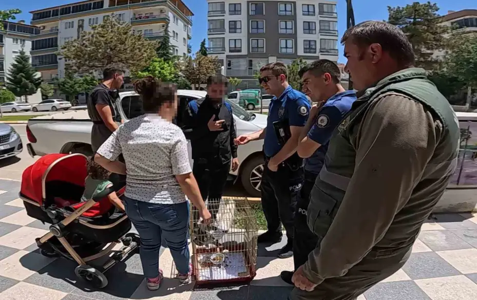 Kırmızı listedeki Afrika Papağanı Aksaray’da yakalandı