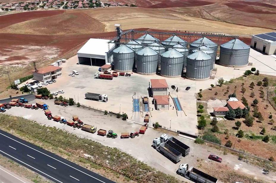 Güneşin altında hasat: Buğday tarlalarında zorlu mesai başladı