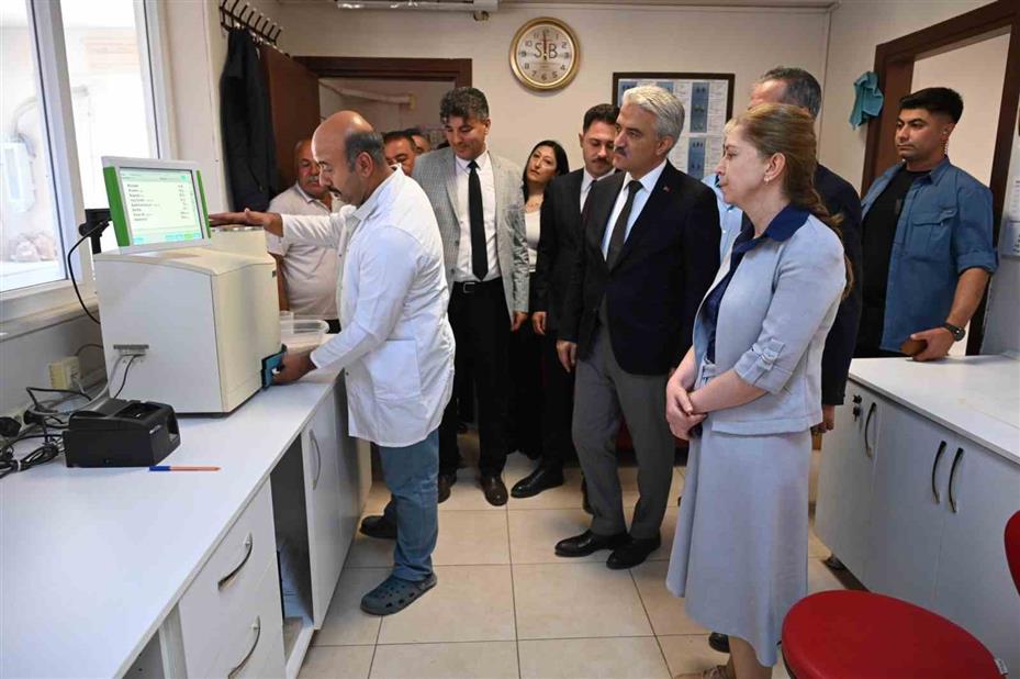 Güneşin altında hasat: Buğday tarlalarında zorlu mesai başladı
