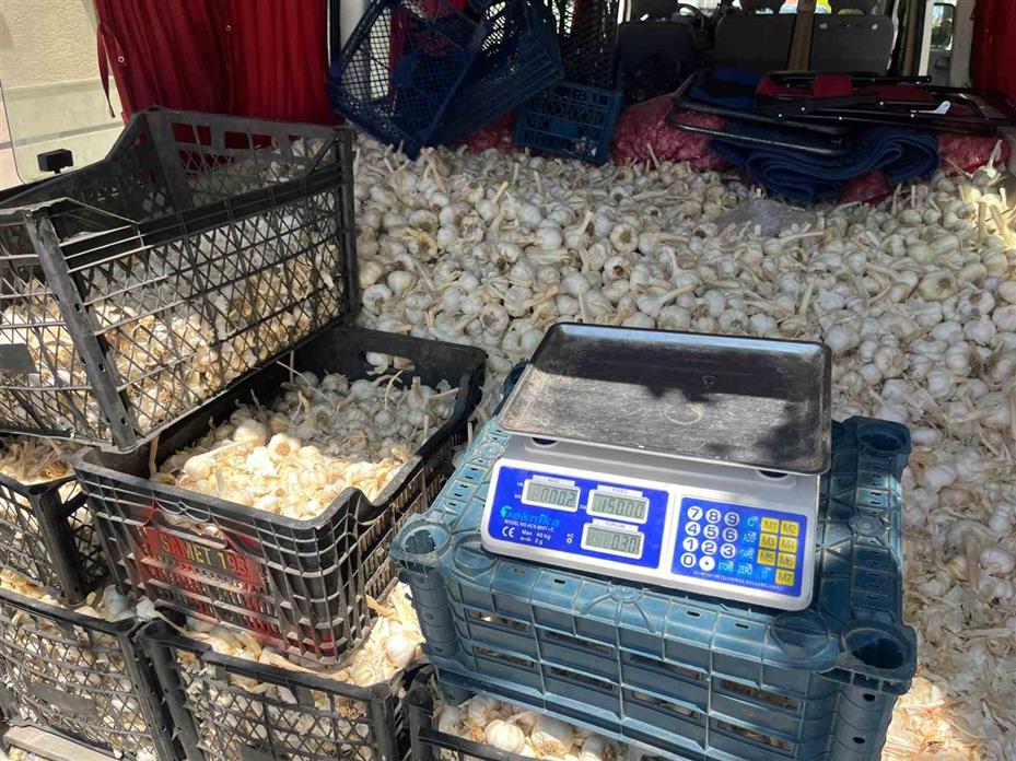 Ekmek parasını kazanmak için binlerce kilometre yol gezdiler