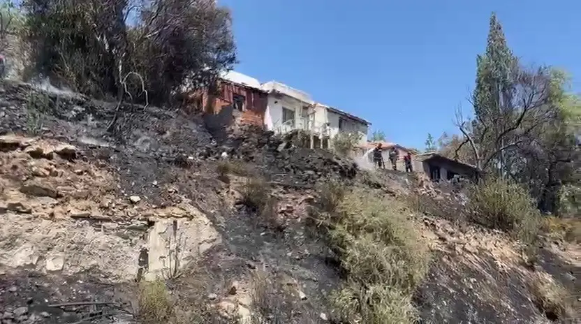 Boş araziden alevler yükseldi, vatandaşlar ve ekipler seferber oldu
