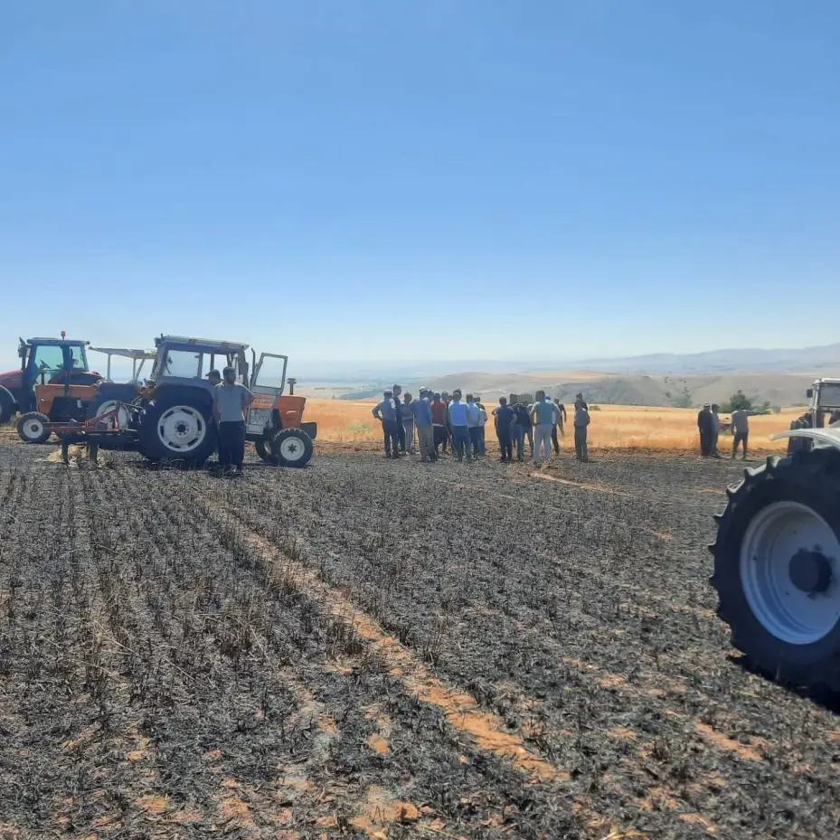 Yozgat’ta 100 dönüm ekili alan kül oldu