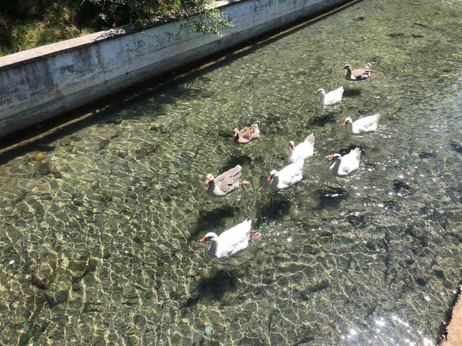 İnönü Havacılık Eğitim Merkezi’ndeki doğal güzellik