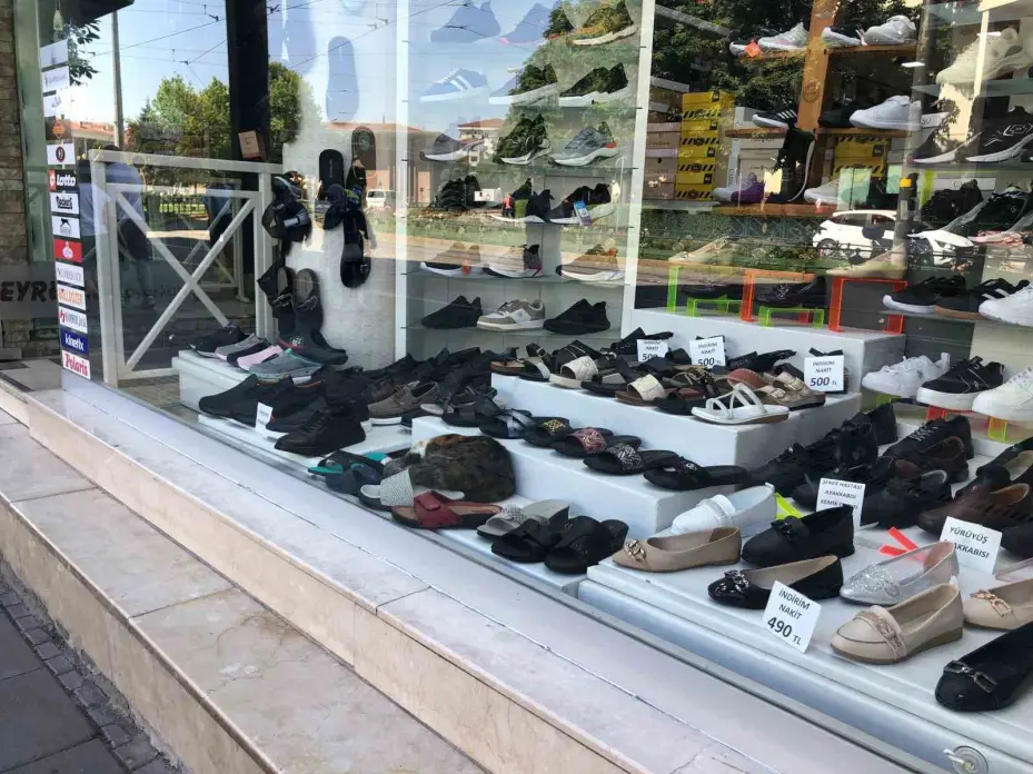Sıcaktan bunalan kedinin çözümü görenlerin içini ısıttı