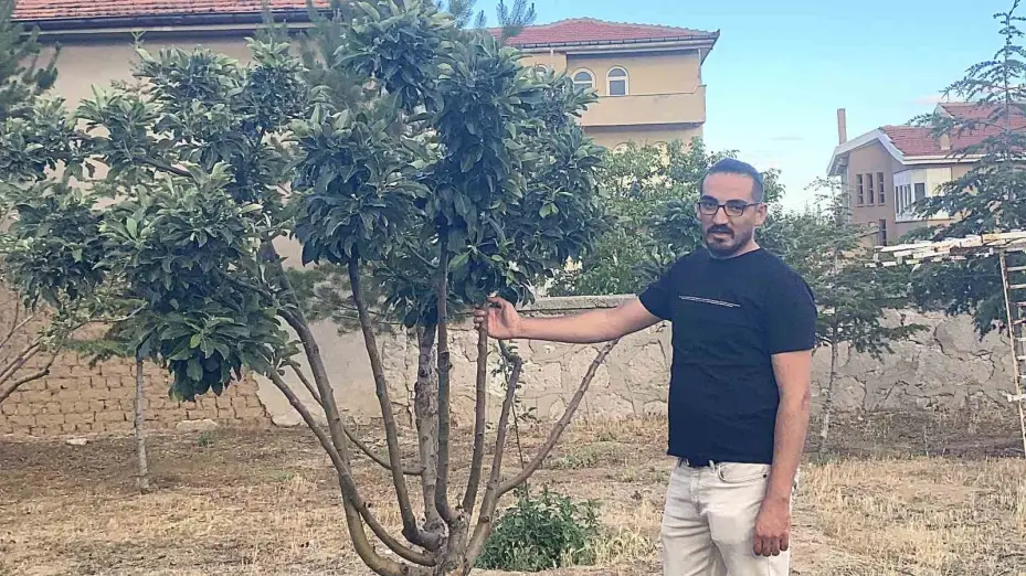 Kulu’da elma ağacı çiçek açtı