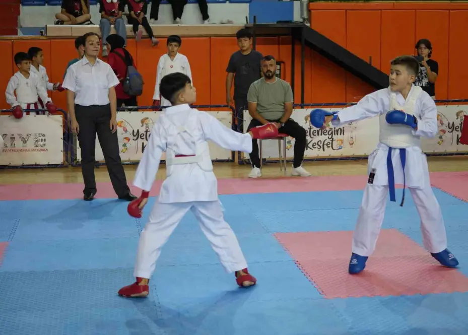 Milli takıma göz kırpan karateciler, ANALİG müsabakalarında ter döküyor