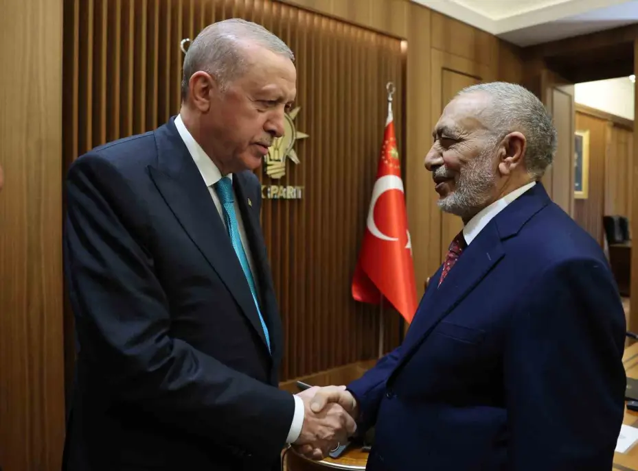 Cumhurbaşkanı Erdoğan, Irak Temsilciler Meclisi Başkanı Meşhedani’yi kabul etti