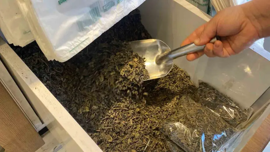Zayıflamak için tüketilen çaylar karaciğer ve böbrek sağlığını bozabilir