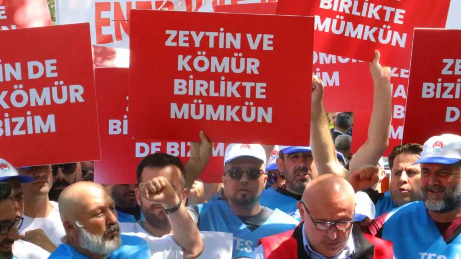 TES-İŞ ve Muğla Milaslı muhtarlardan maden yasasındaki düzenlemelerle ilgili TBMM önünde destek