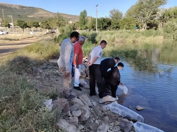 Hüyük’te göletler balıklandırıldı