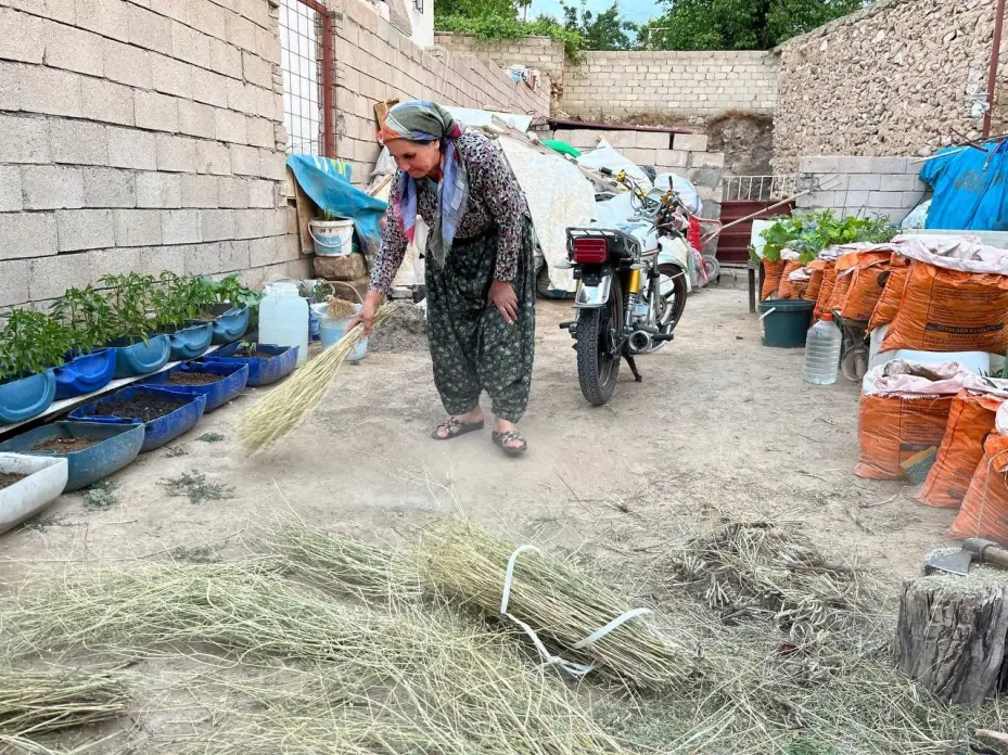 Ata mirasını yaşatıyor: Ot süpürgesi geleneğini sürdürüyor